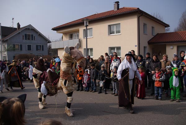 SONY DSC_295.jpg